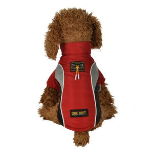 A Dog Wearing A Red All Weather Dog Vest