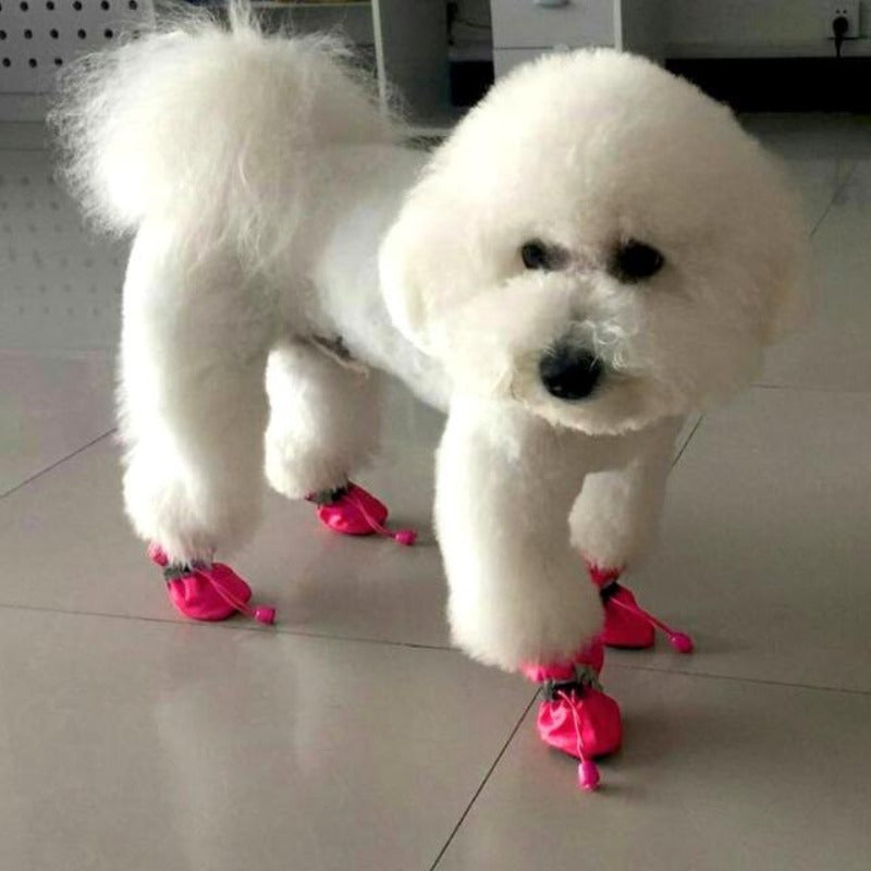 A Dog Wearing The Pink Soft Indoor Dog Booties