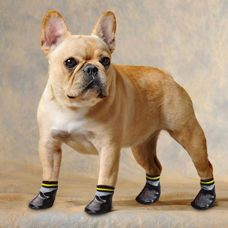 A Dog Wearing The Rubber Doggy Socks
