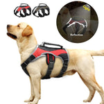 Load image into Gallery viewer, A Reflective Feature For Safety On A Reflective Training Dog Vest Harness
