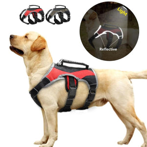 A Reflective Feature For Safety On A Reflective Training Dog Vest Harness