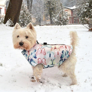 A Dog Wearing The Pink Patterned Dog Vest