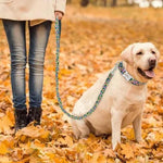 Load image into Gallery viewer, A dog wearing a Colorful Floral Pattern Custom Personalized Dog Tag Collar and Leash Set
