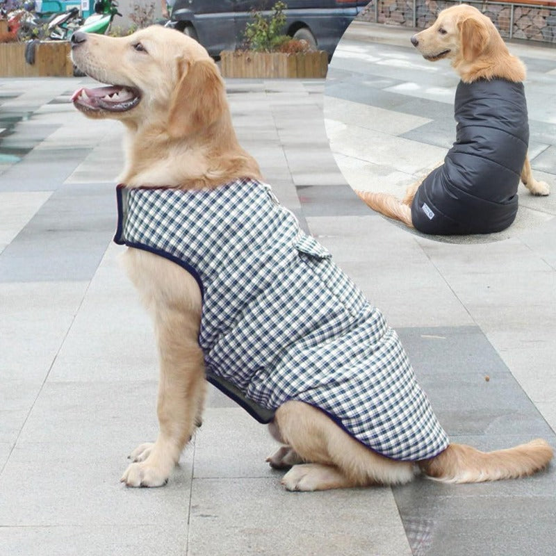 A Dog Wearing A Blue Reversible Plaid Dog Vest