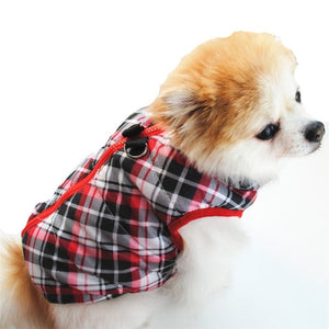 A Dog Wearing A Red Plaid Colorful Dog Vest