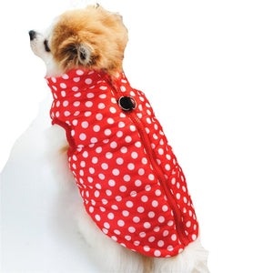 A Dog Wearing A Dotted Red Colorful Dog Vest
