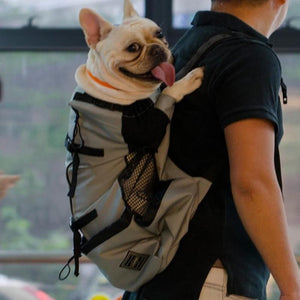 A Dog Inside The Gray Big Dog Shoulder Backpack