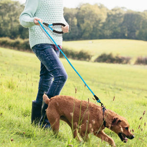 A Woman Walking A Dog On A Blue Reflective Long Dog Leash