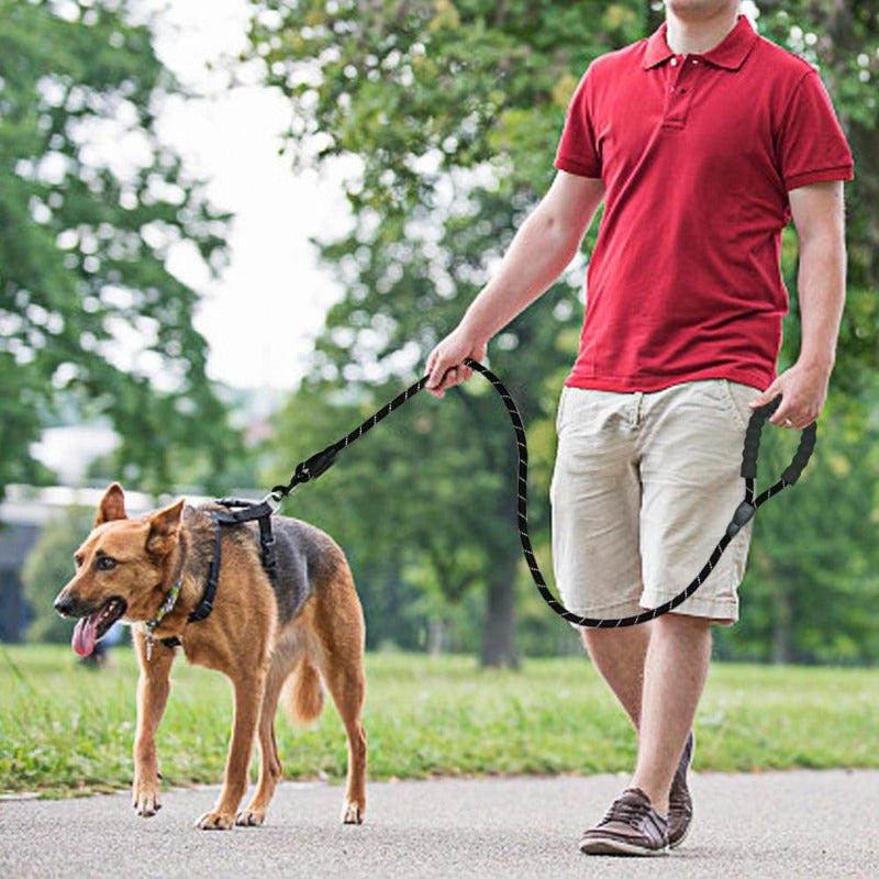 A Man Walking A Dog Using A Black Reflective Long Dog Leash 
