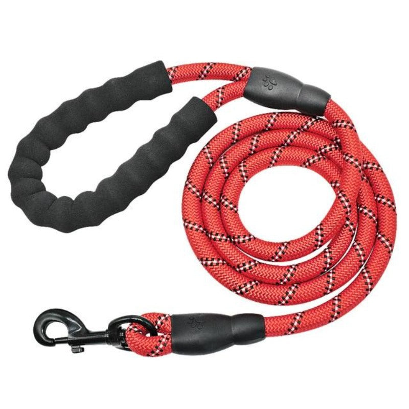 Red Reflective Long Dog Leash