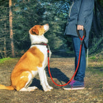 Load image into Gallery viewer, A Man Walking A Dog On A  Red Reflective Long Dog Leash
