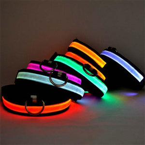 Stacked Glow In The Dark Dog Collars with LED Light assorted colors 