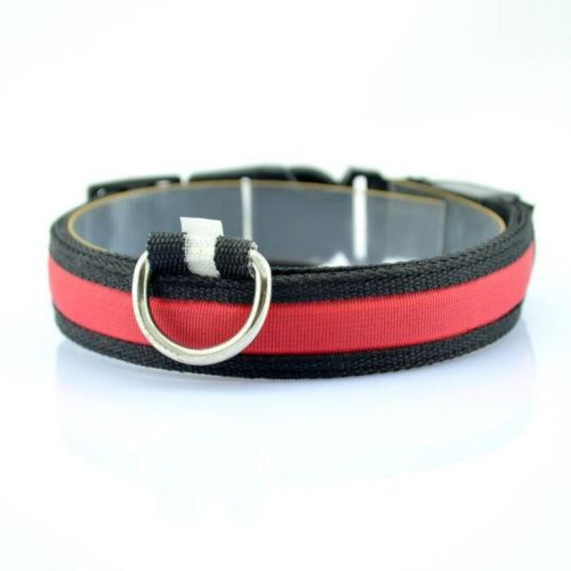  Glow In The Dark Dog Collar with Red LED light 