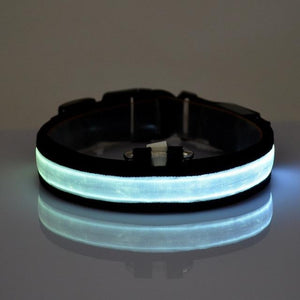  Glow In The Dark Dog Collar with Blue LED light 