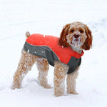 Load image into Gallery viewer, A Dog Wearing The Red Warm Reflective Dog Vest
