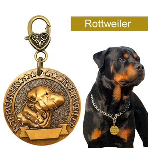 A Rottweiler Dog Wearing A Breed Personalized ID Tag Rottweiler