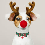 Load image into Gallery viewer, A Dog Wearing The Christmas Dog Collar With Bell &amp; Bow Tie in Green &amp; Snowflake Design
