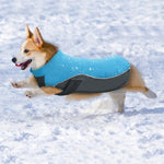 Load image into Gallery viewer, A Dog Wearing The Blue Warm Reflective Dog Vest
