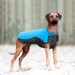 Load image into Gallery viewer, A Dog Wearing The Blue Warm Reflective Dog Vest

