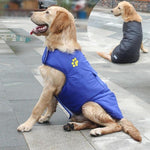 Load image into Gallery viewer, A Dog Wearing The Blue Double Sided Dog Vest

