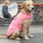 Load image into Gallery viewer, A Dog Wearing The Pink Double Sided Dog Vest
