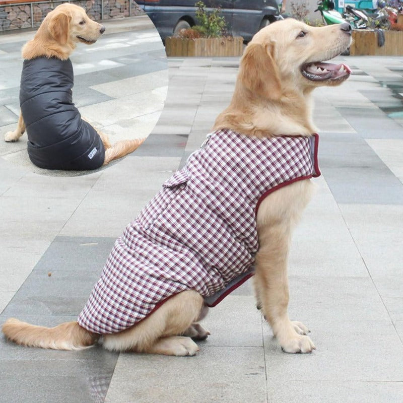 A Dog Wearing A Red Reversible Plaid Dog Vest