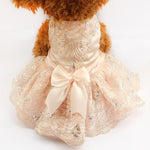 Load image into Gallery viewer, A Dog Wearing A Pink Embroidered Lace Dog Dress
