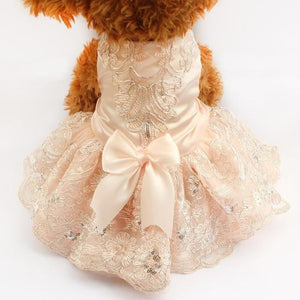 A Dog Wearing A Pink Embroidered Lace Dog Dress