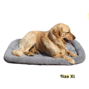 A Dog Laying On The Warm Cushion Doggy Bed