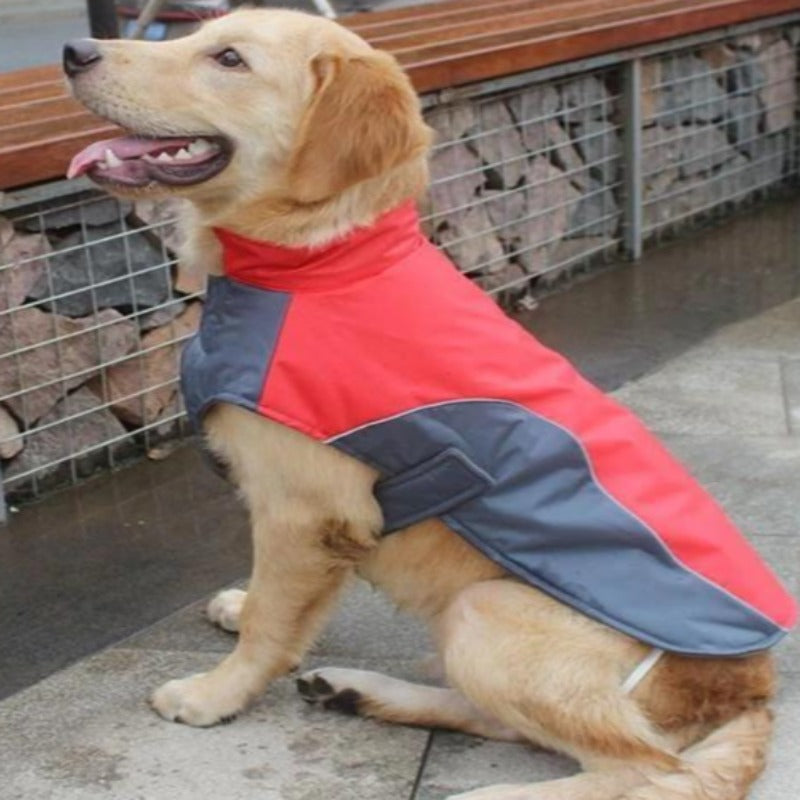 A Dog Wearing The Red Warm Reflective Dog Vest