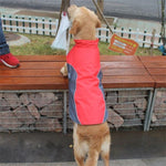 Load image into Gallery viewer, A Dog Wearing The Red Warm Reflective Dog Vest
