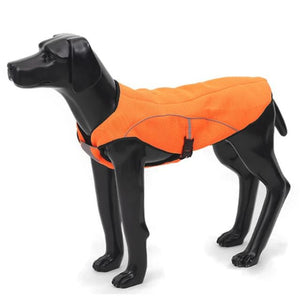 A Dog Wearing An Orange Air Mesh Cooling Dog Vest