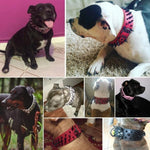 Load image into Gallery viewer, Spike Studded Dog Collar, Black, Brown, Red, &amp; More, S-XL
