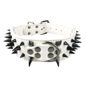  White Leather with Black Spike Studded Collar