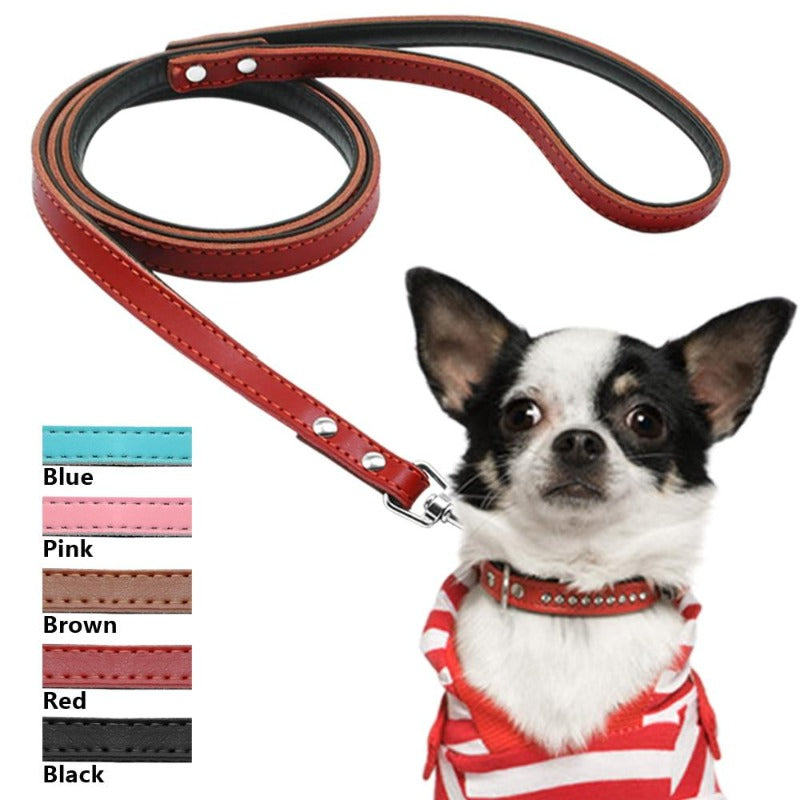 A Dog Wearing A Toggy Doggy Red Leather Dog leash