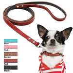 Load image into Gallery viewer, A Dog Wearing A Toggy Doggy Red Leather Dog leash
