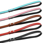 Load image into Gallery viewer, Available Colors For The Toggy Doggy Leather Dog Leash Are: Blue, Pink, Brown, Red, And Black
