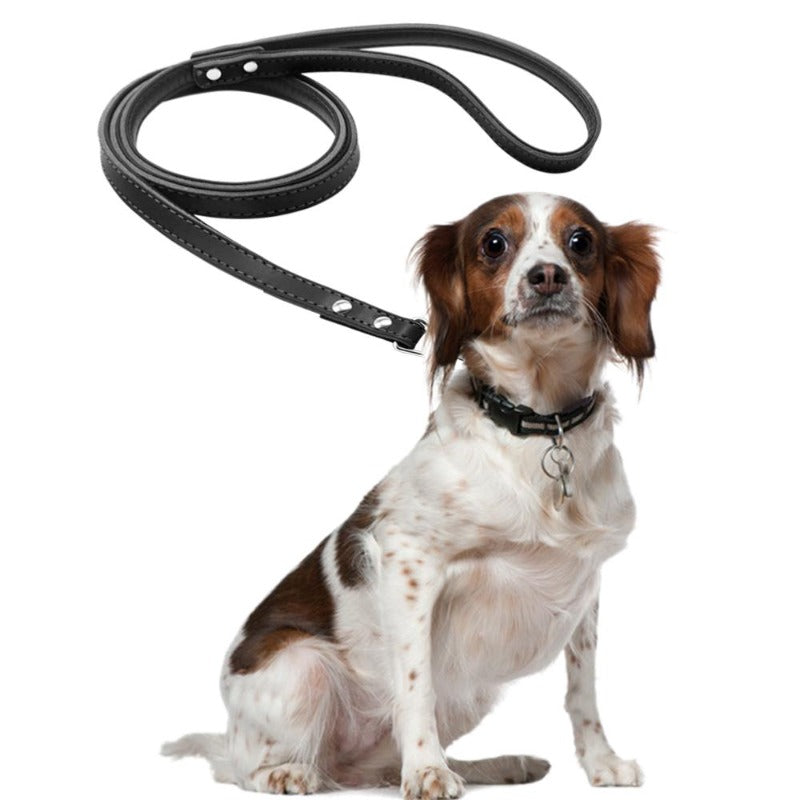 A Dog Wearing A Toggy Doggy Black Leather Dog Leash