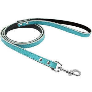 Toggy Doggy Blue Leather Dog leash 