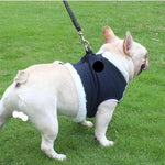 Load image into Gallery viewer, A Dog Wearing A Blue Fleece Dog Harness &amp; Leash Set
