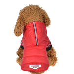 Load image into Gallery viewer, A Dog Wearing the Red Outdoor Hoodie Jacket
