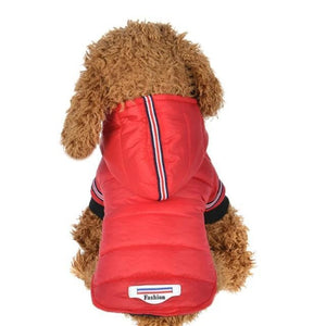 A Dog Wearing the Red Outdoor Hoodie Jacket