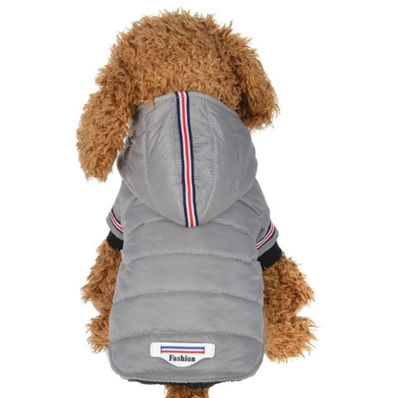 A Dog Wearing The  Gray Outdoor Hoodie Jacket