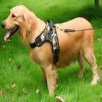 Load image into Gallery viewer, A Dog Wearing A Camouflage Heavy Duty Padded Dog Harness
